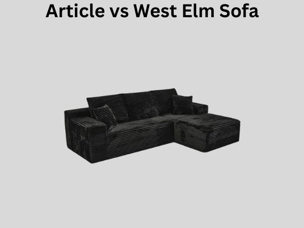 Article vs West Elm Sofa