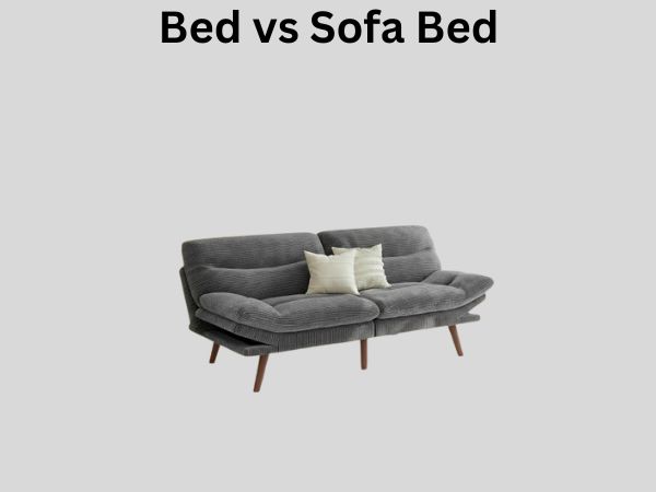 Bed vs Sofa Bed