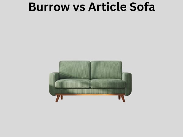 Burrow vs Article Sofa
