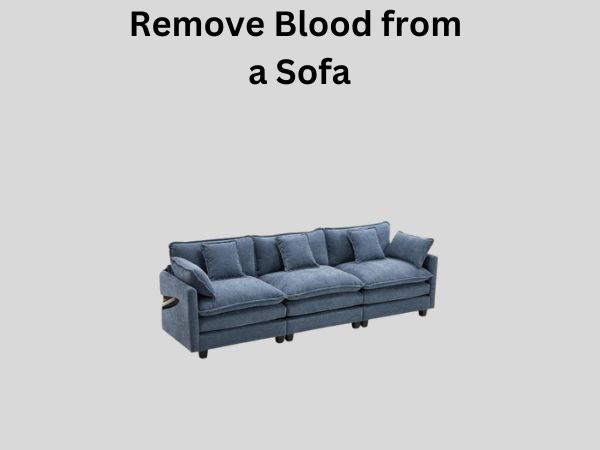 Remove Blood from a Sofa
