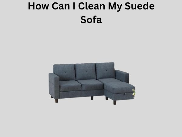 How Can I Clean My Suede Sofa