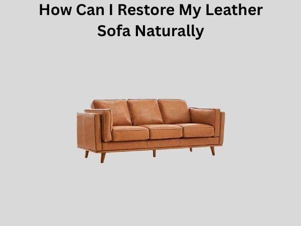 How Can I Restore My Leather Sofa Naturally