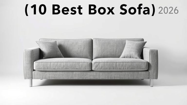 10 Best Box Sofa [2026]